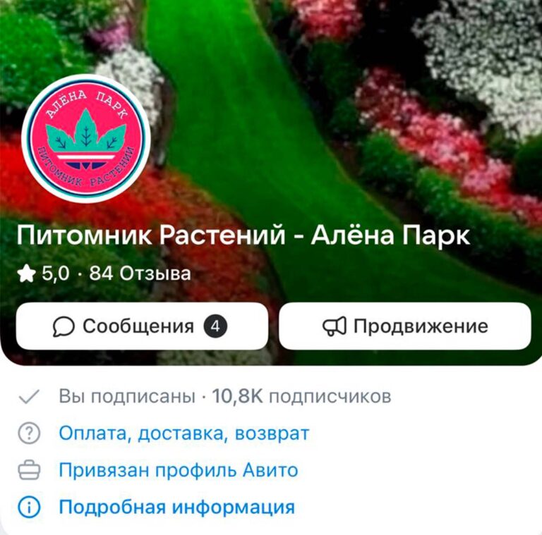 Мшанка шиловидная купить по низкой цене с доставкой напрямую от питомника растений Алёна Парк